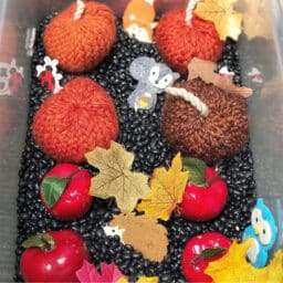 A sensory bin containing black beads, brown and orange yarn pumpkins, plastic red apples and felt animals.